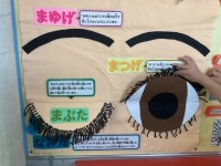 目を大切にしよう